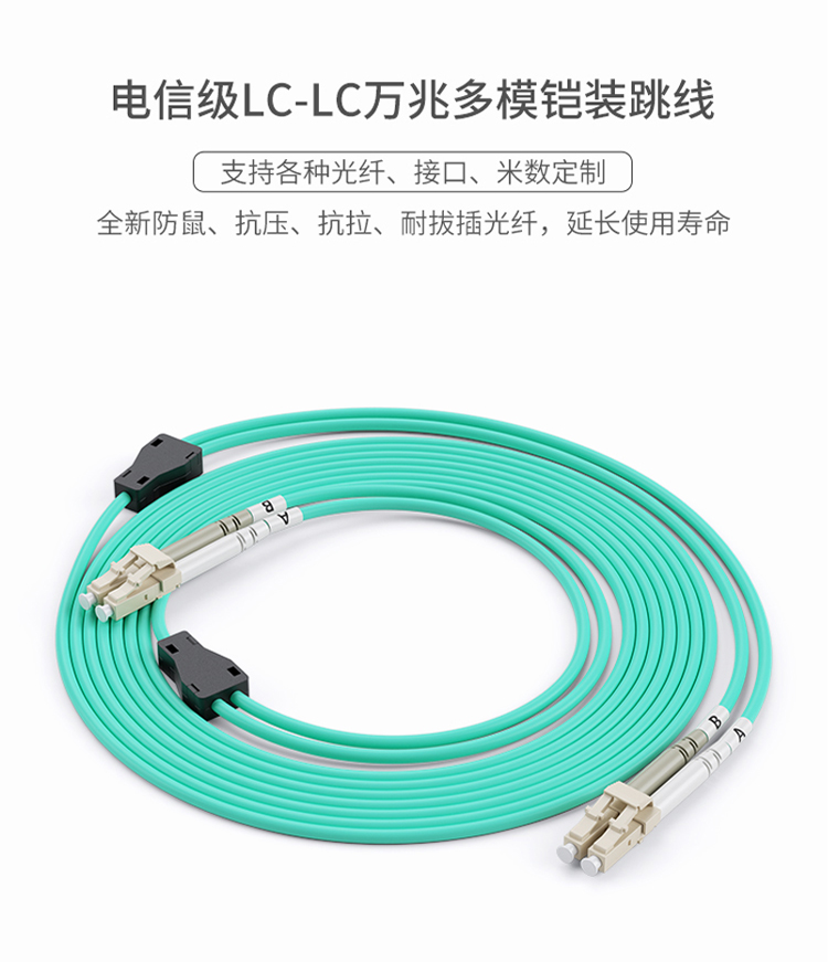 訊浦 萬(wàn)兆多模鎧裝跳線 防鼠咬光纖跳線 雙芯LC-LC跳線 50/125 3米~100米_http://www.oann34.cn_所有產(chǎn)品_第1張